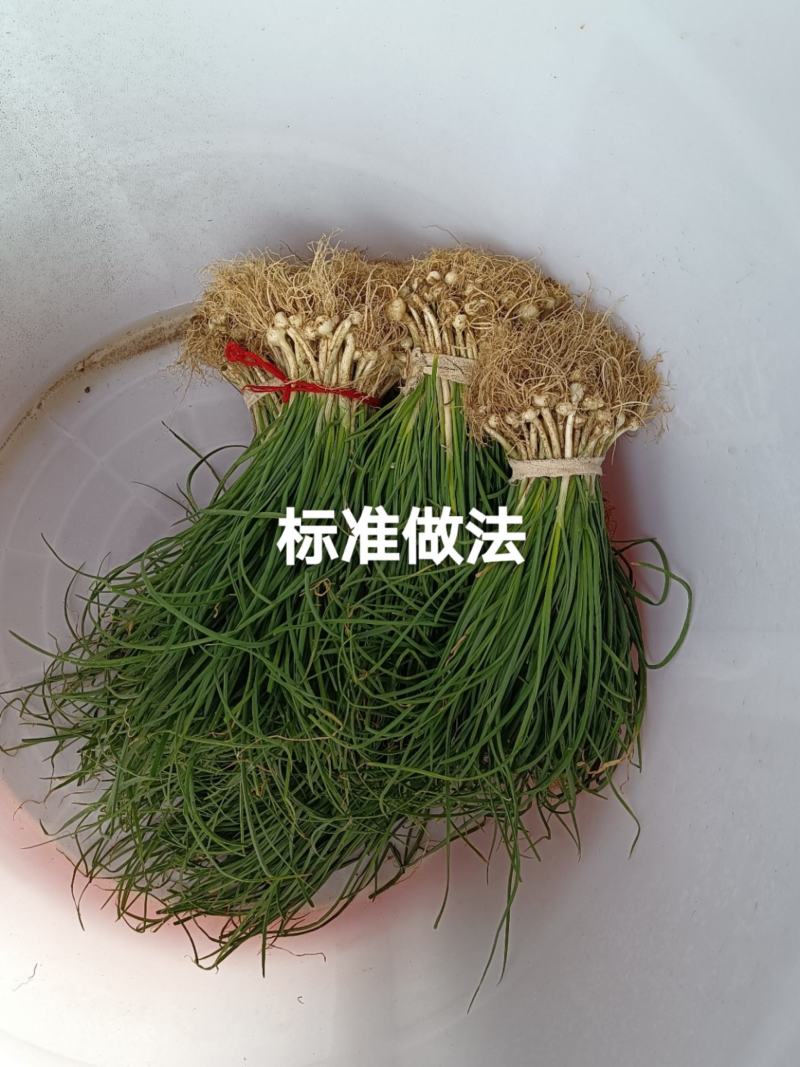 小根蒜，野葱