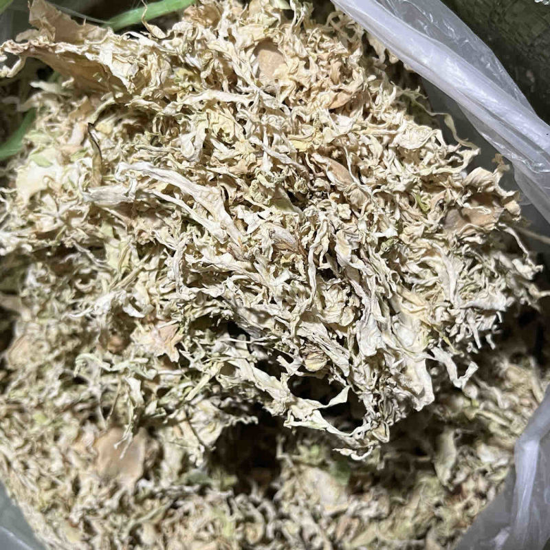 精品包菜丝产地直发品质保证一手货源量大从优欢迎联系