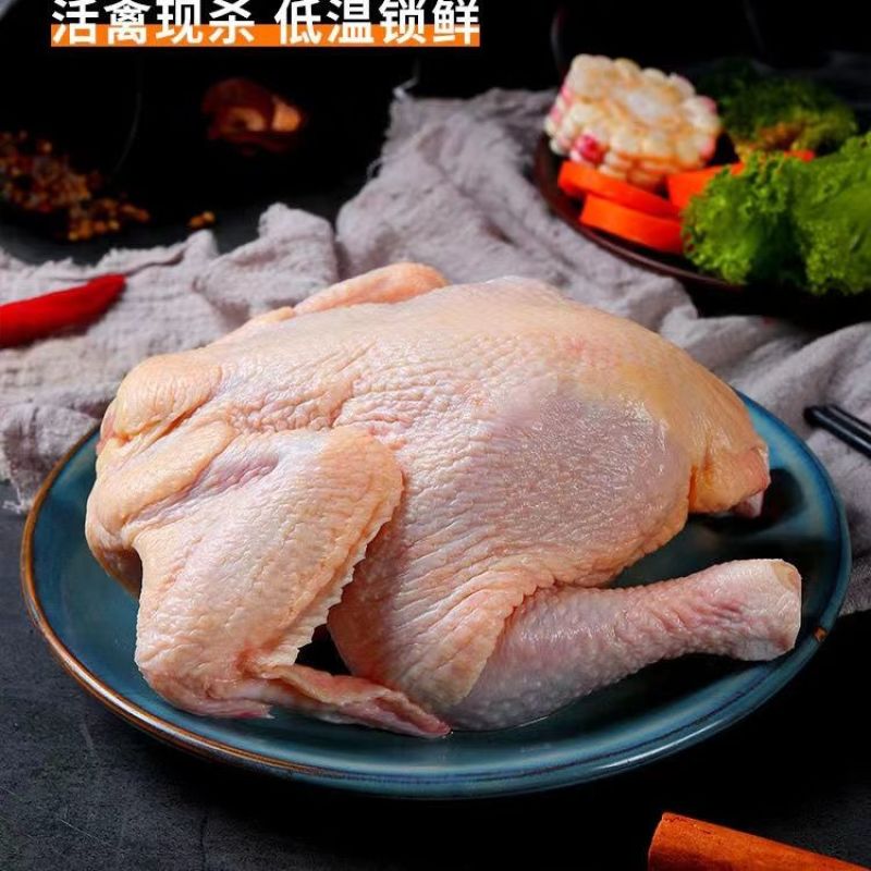 各种规格西装鸡新鲜屠宰干净卫生质量有保证