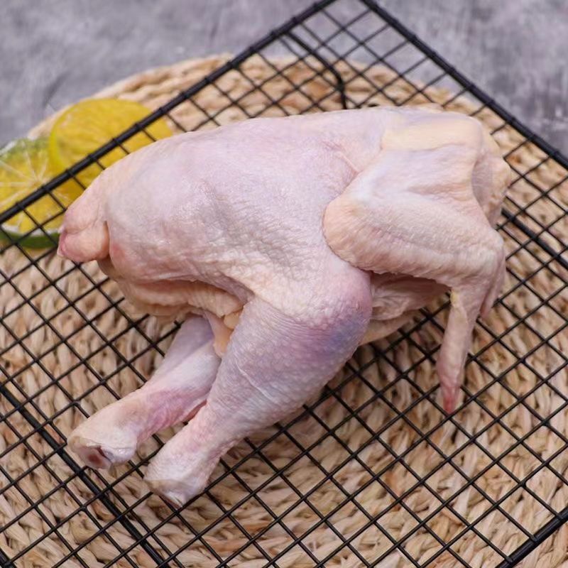 各种规格西装鸡新鲜屠宰干净卫生质量有保证