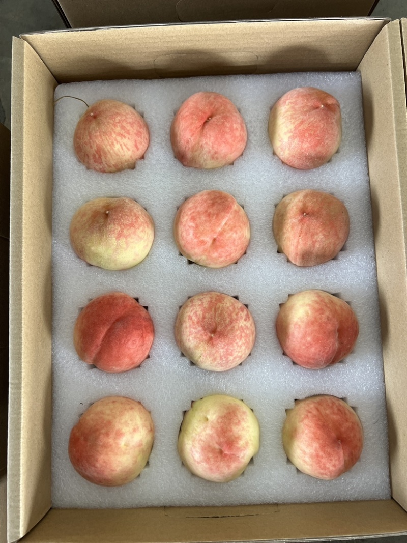 龙泉水蜜桃水果一件代发蜜桃