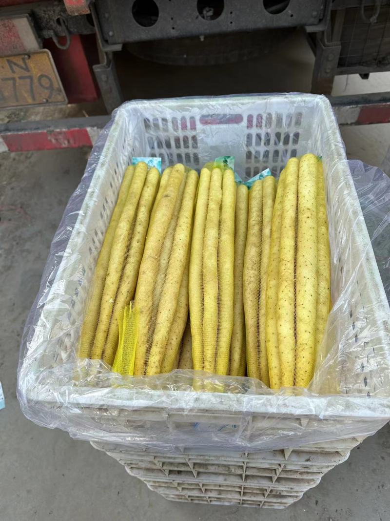 铁棍，白嘴，双棒，白玉。去皮真空速冻。酒店食堂净菜供应链