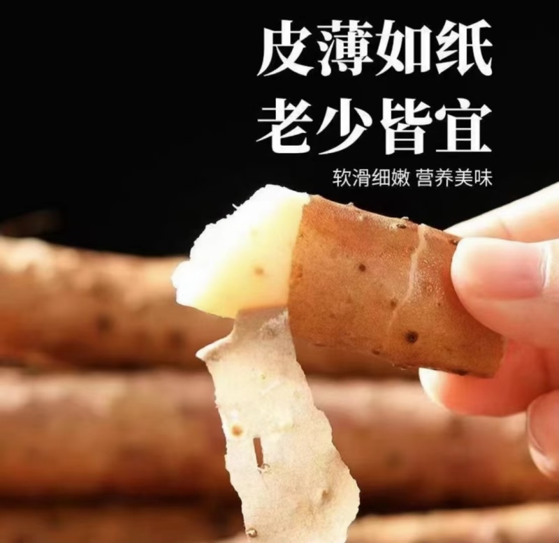 铁棍，白嘴，双棒，白玉。去皮真空速冻。酒店食堂净菜供应链
