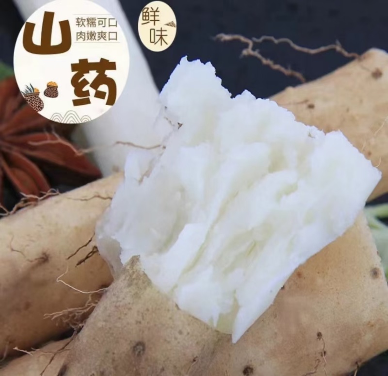 铁棍，白嘴，双棒，白玉。去皮真空速冻。酒店食堂净菜供应链