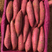 【西瓜红】精选红薯大量供应货源充足支持各种规格质量三包