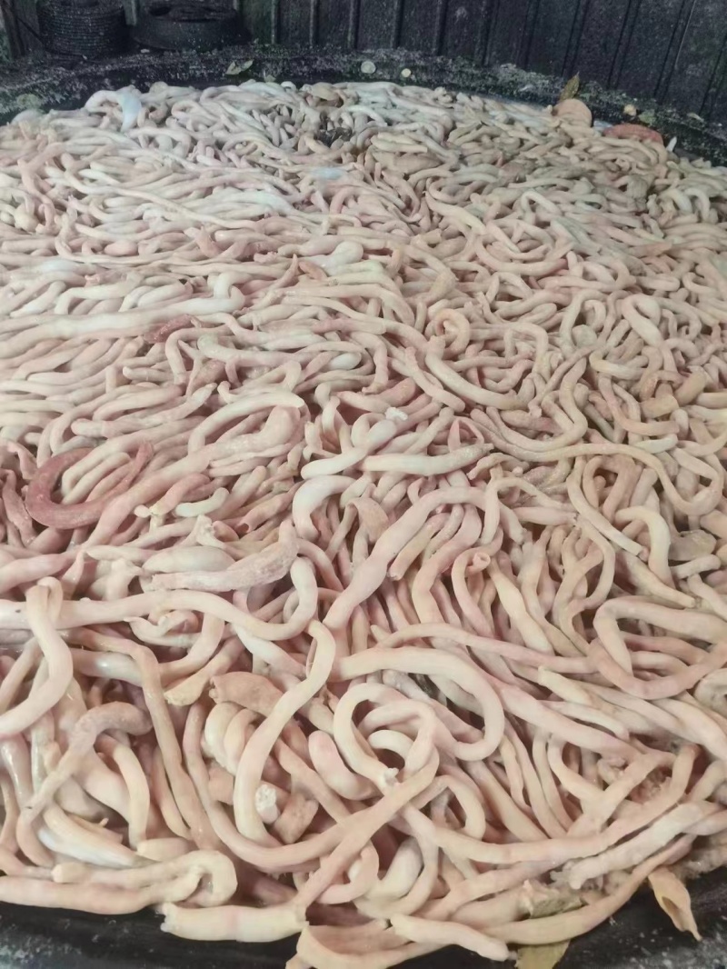 羊肠，冷链物流发货，大部分都是细的羊肠，都是现煮
