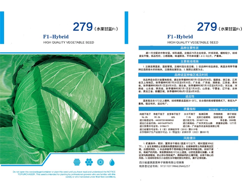 279水果甘蓝种子扁圆卷芯白菜包心菜籽春秋季栽培中熟