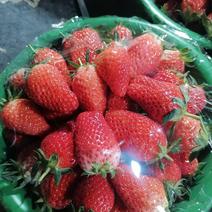 西安草莓基地
