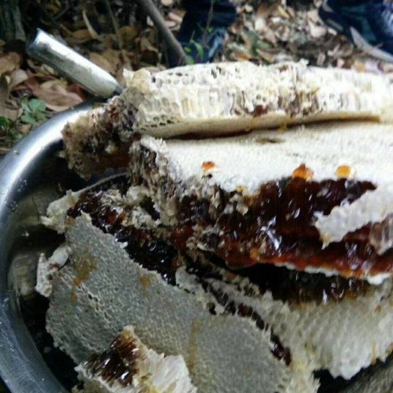 上思正宗土蜂蜜品质保证一手货源欢迎大家来电咨询