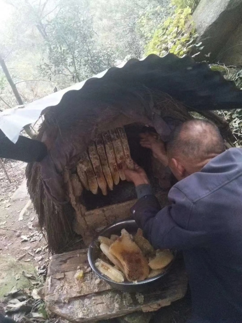 上思正宗土蜂蜜品质保证一手货源欢迎大家来电咨询