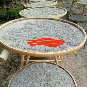 张家界莓茶