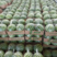 【甜王西瓜】云南精品甜王西瓜，大量现货供应，规格齐全