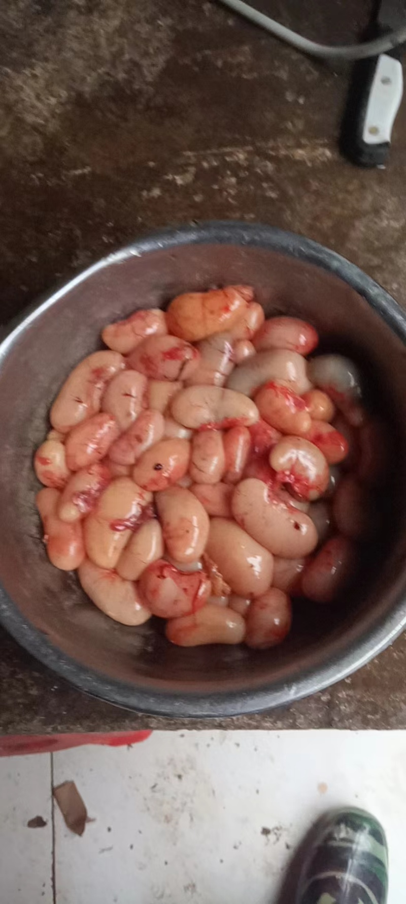 鸡腰，公鸡蛋，鸡肾