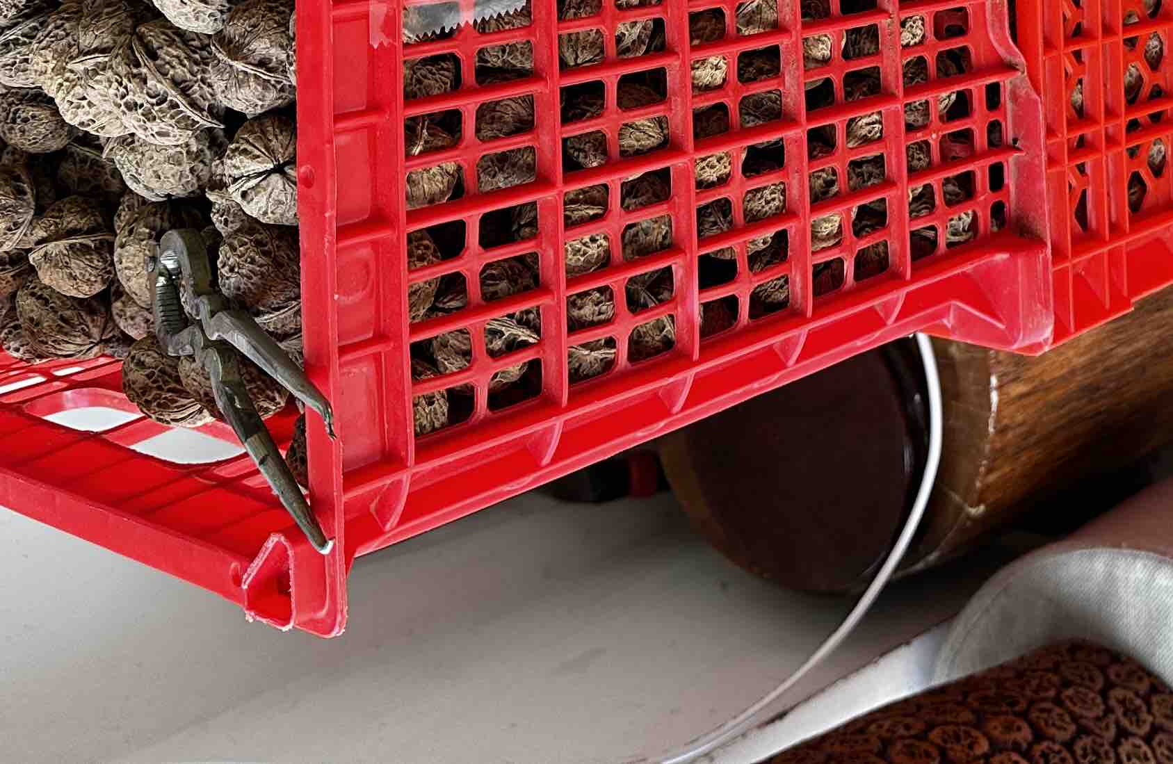 老人坐在老屋中,手中拿着核桃,身后是布满岁月痕迹的家具和旧物,整体画面充满怀旧与温情 老人与核桃合影,背景为老屋与旧物