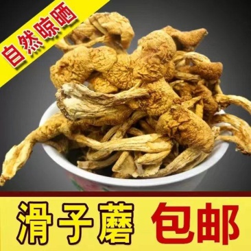 东北特产滑子蘑