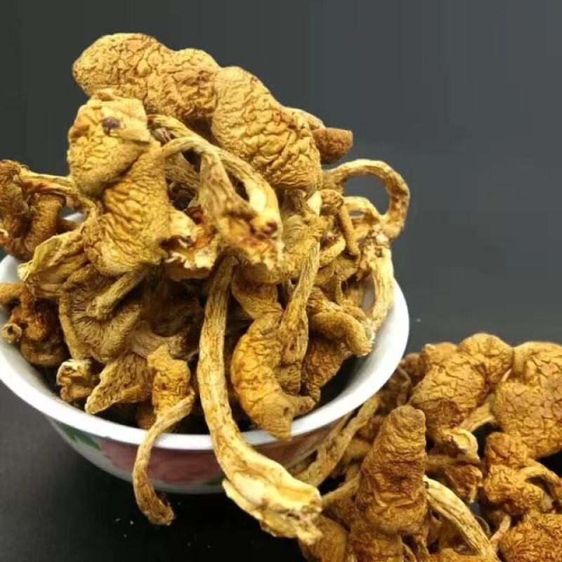 东北特产滑子蘑