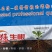 生根水溶肥猛生根水溶肥大量元素含腐殖酸水溶肥生根棵