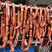 【精品猪肉香肠】大量供应保质保量，纯猪肉制作，四川成都发