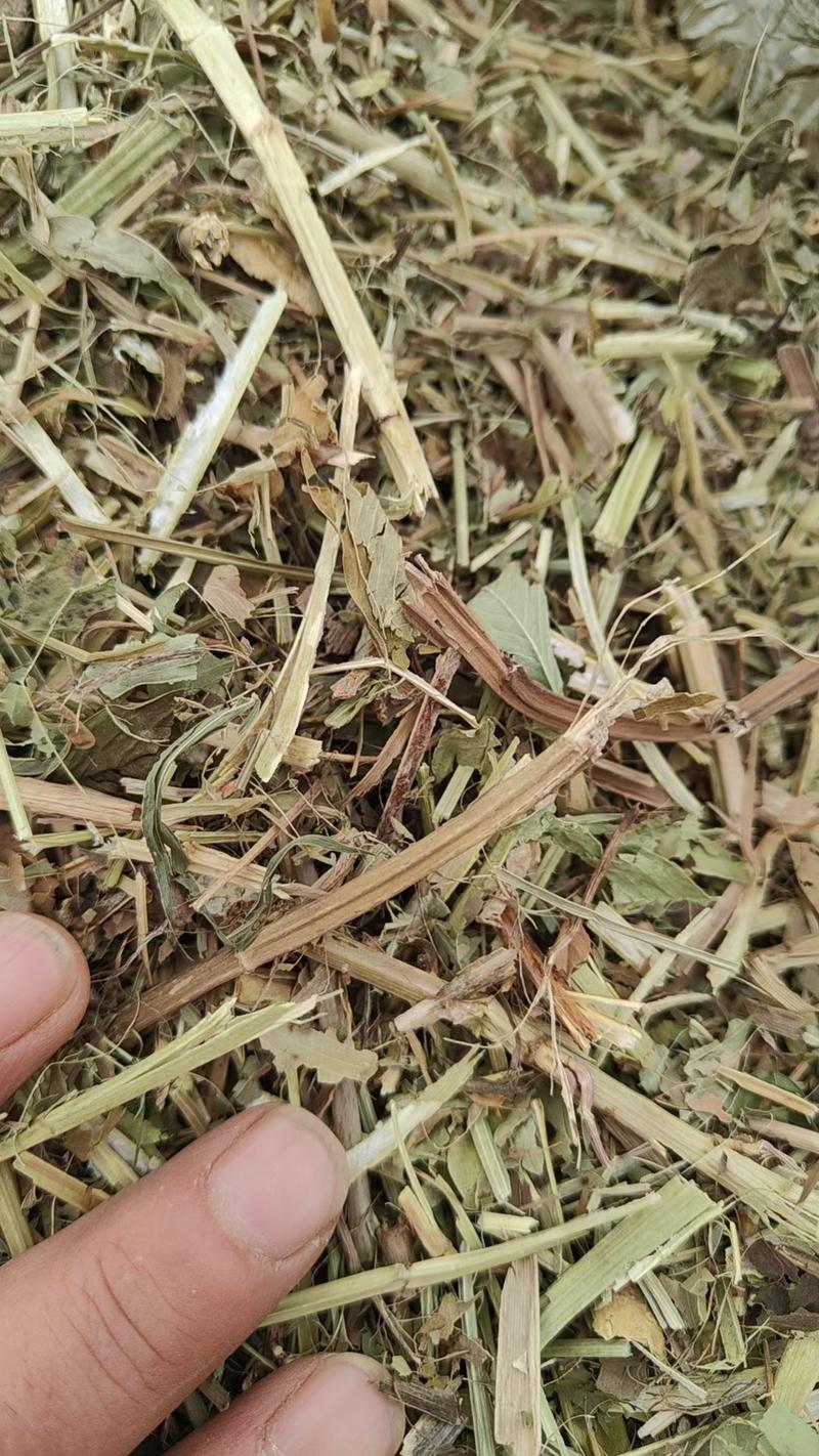 （推荐）一手货源揉丝除膜小草都是两到三公分的小草段