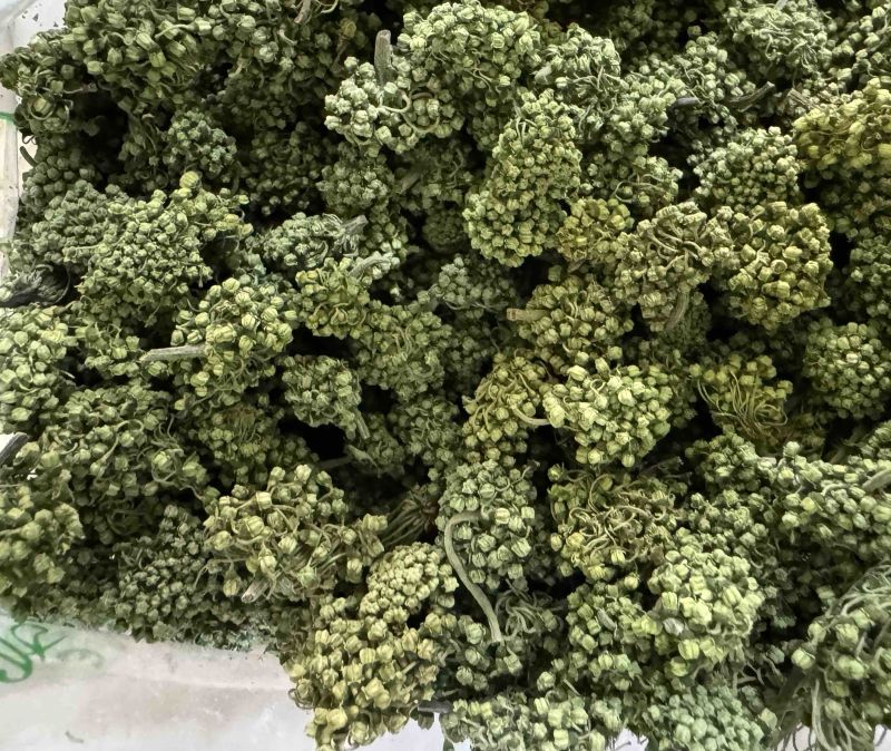 三七花保庆药业批发三七花实物拍摄发货如图
