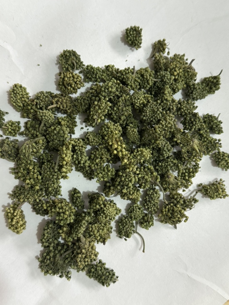 三七花保庆药业批发三七花实物拍摄发货如图