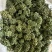 三七花保庆药业批发三七花实物拍摄发货如图