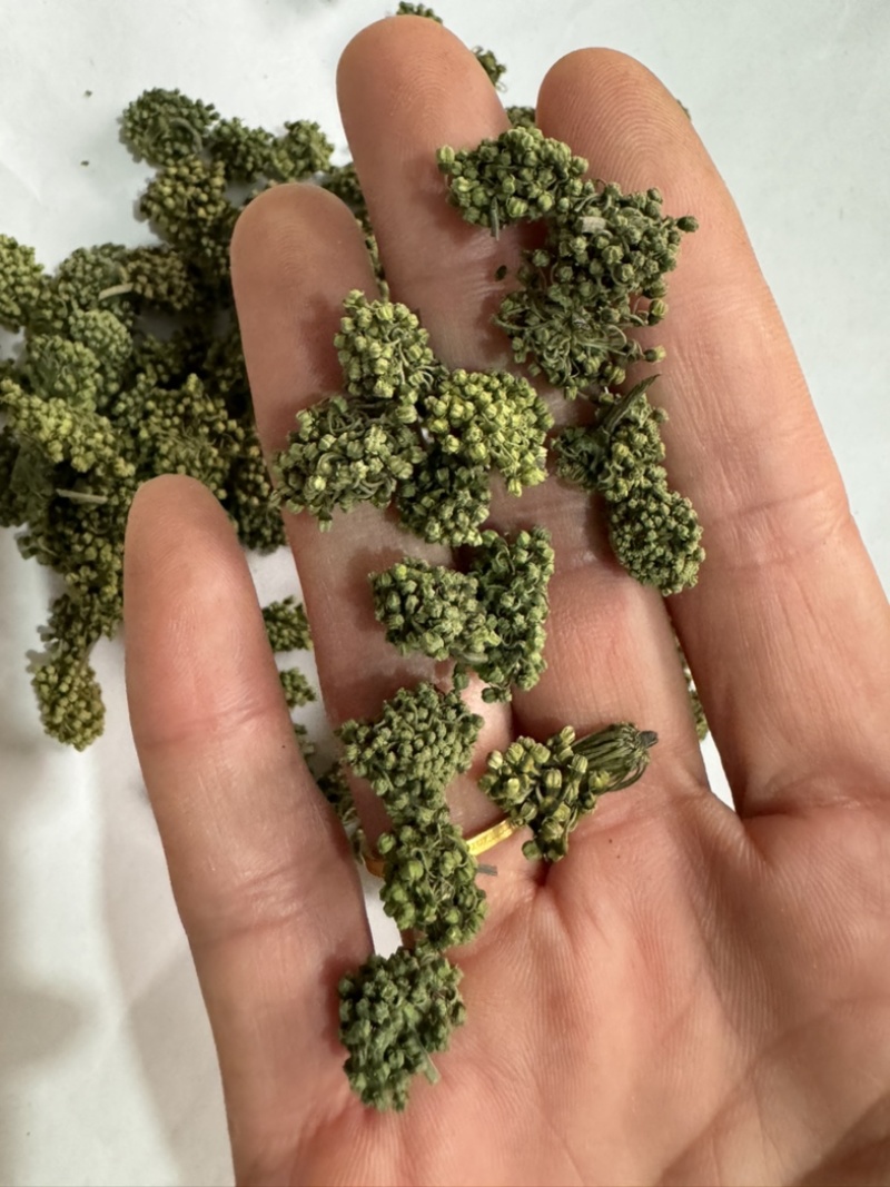 三七花保庆药业批发三七花实物拍摄发货如图