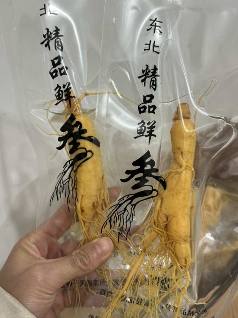 人参鲜人参鲜参中药材鲜人参发货如图保庆药业东北人参