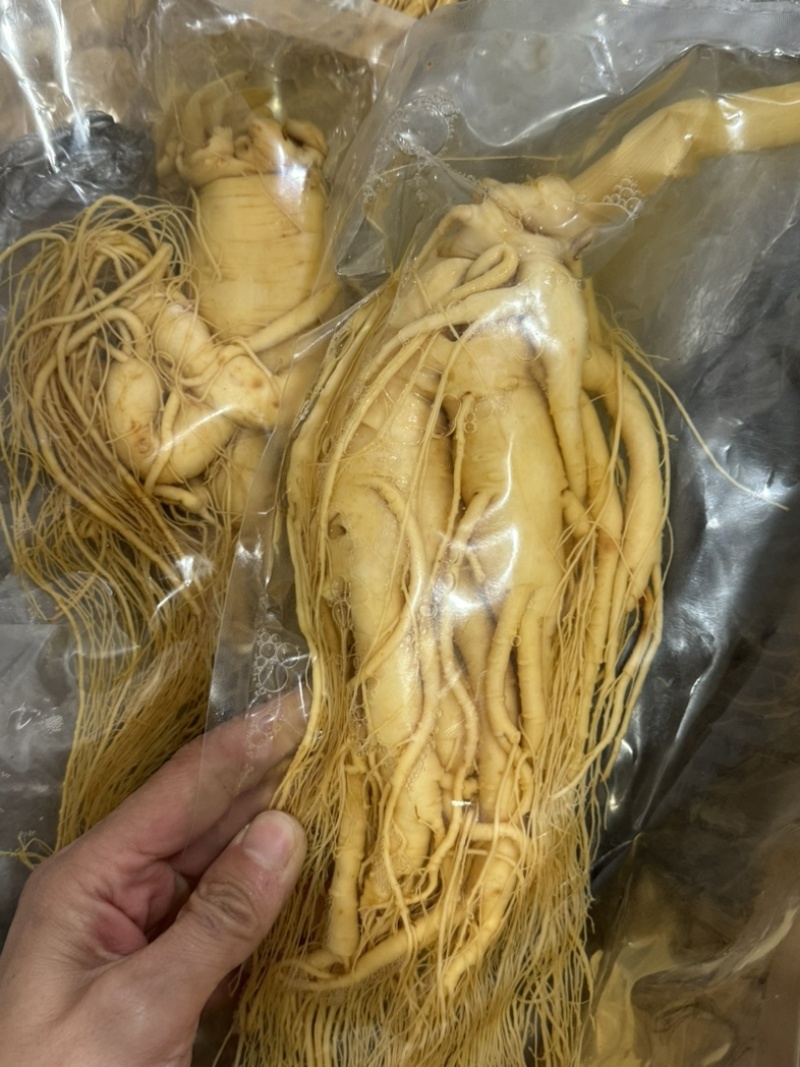 人参鲜人参鲜参中药材鲜人参发货如图保庆药业东北人参