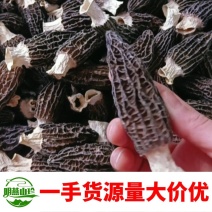 【一斤起批】精选头茬羊肚菌干货一手货源质量保证产地直发