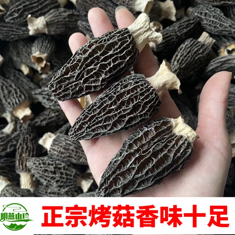 【一斤起批】精选头茬羊肚菌干货一手货源质量保证产地直发