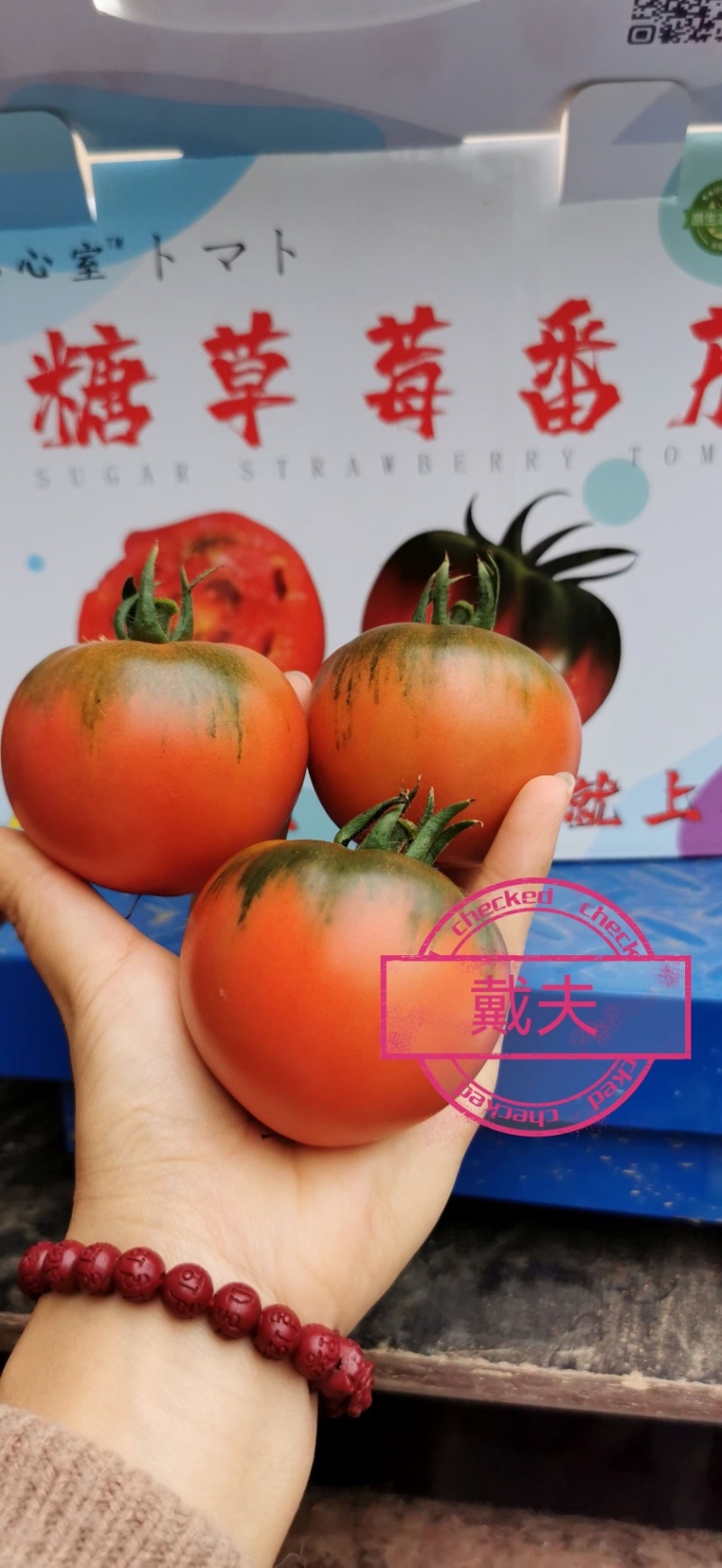 高糖草莓番茄戴夫草莓番茄基地货源