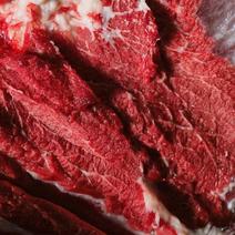宁夏固原精品牛腩肉大量供货，货源充足稳定，品质保证