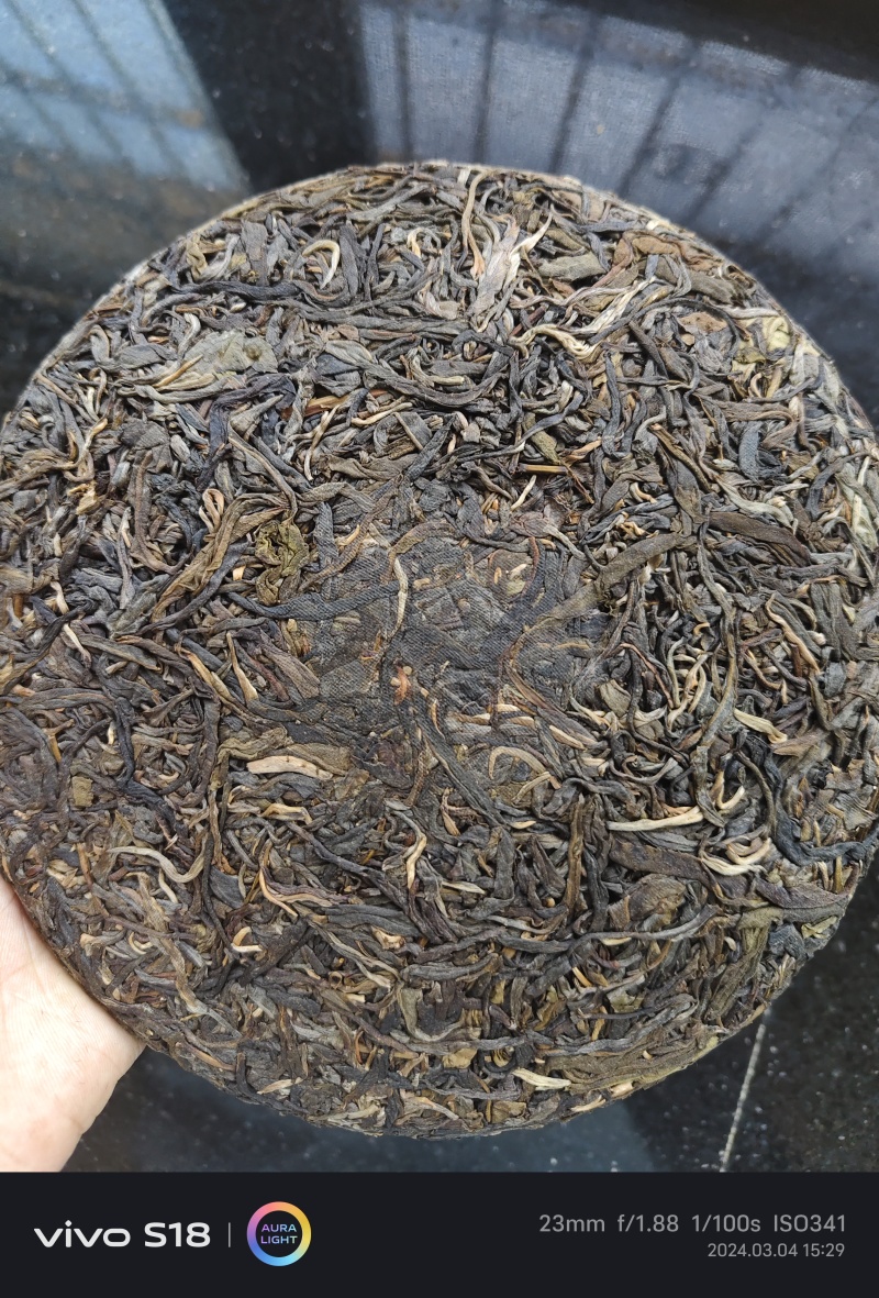 普洱景迈山古树茶批发