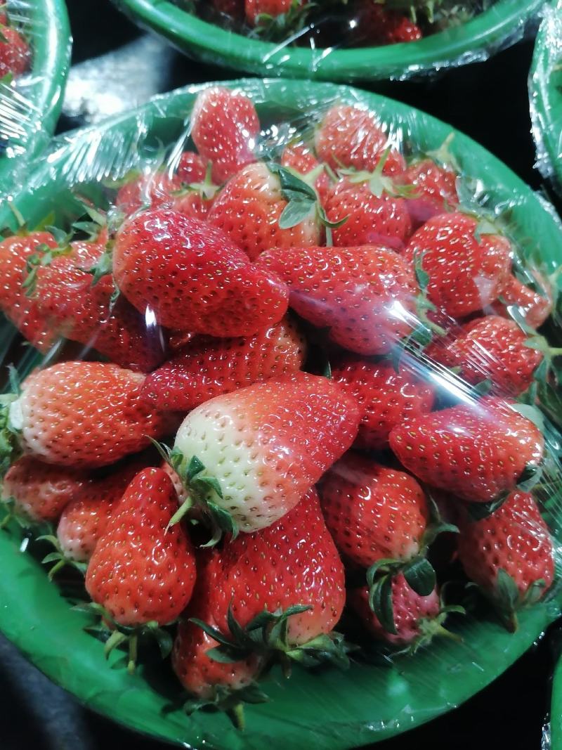 西安草莓产业区