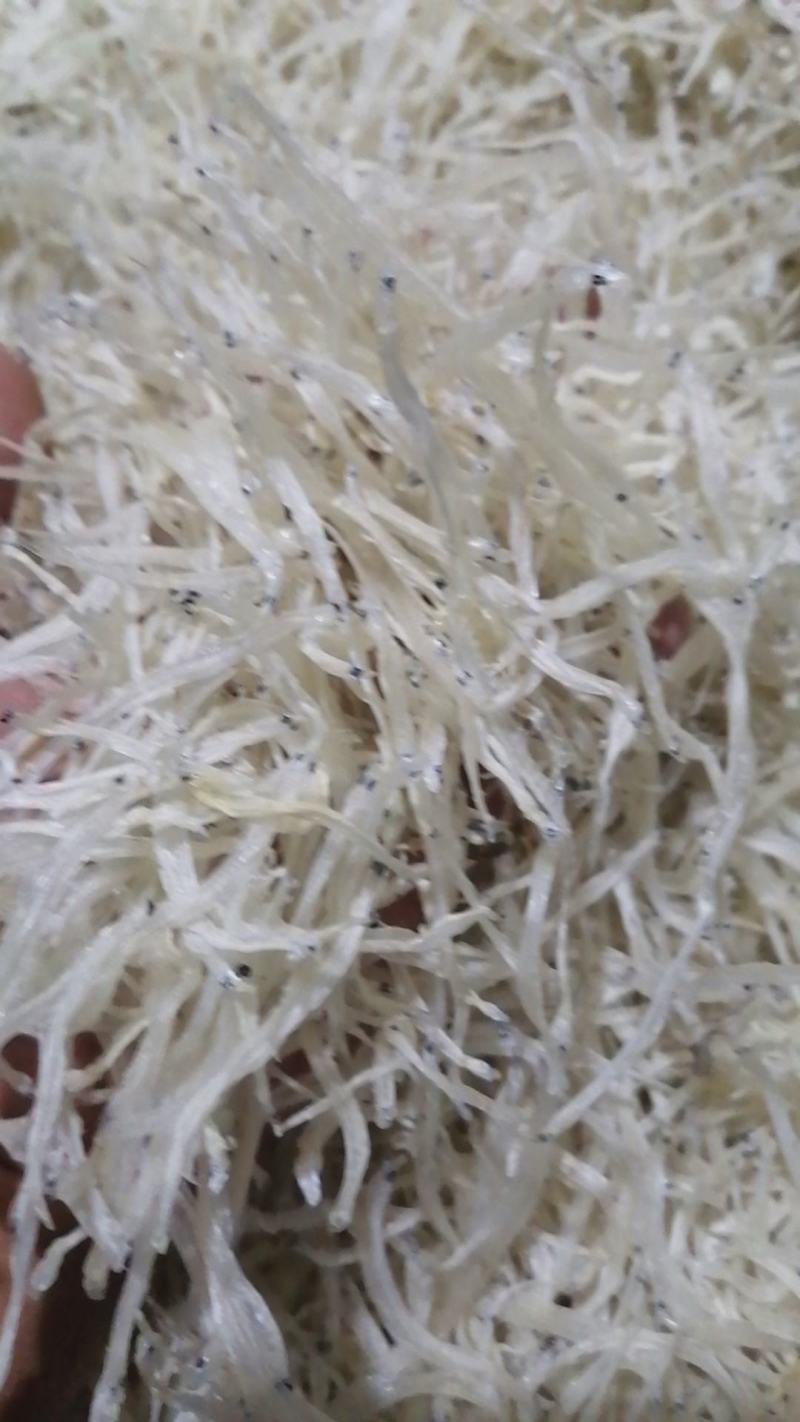 银鱼干生态银鱼干鲜活水产品和水产加工制品品质保障