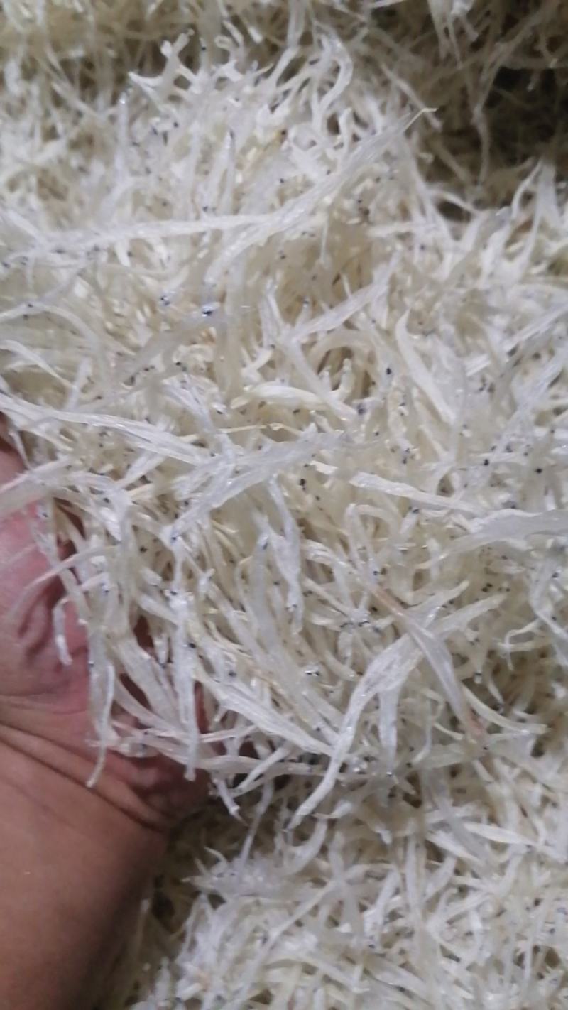 银鱼干生态银鱼干鲜活水产品和水产加工制品品质保障