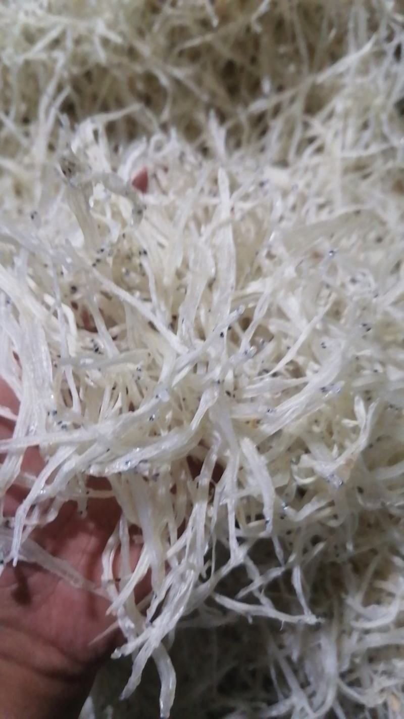 银鱼干生态银鱼干鲜活水产品和水产加工制品品质保障
