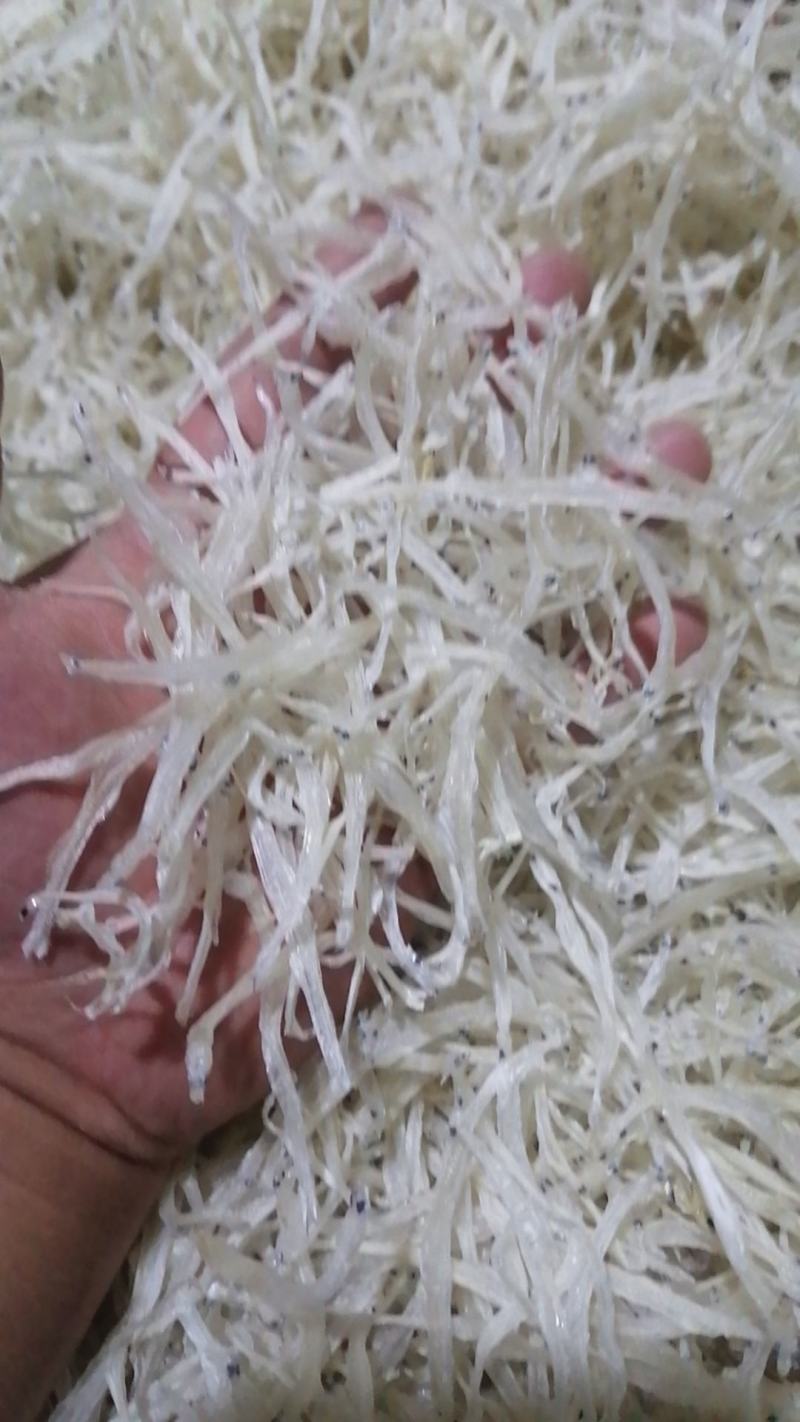 银鱼干生态银鱼干鲜活水产品和水产加工制品品质保障