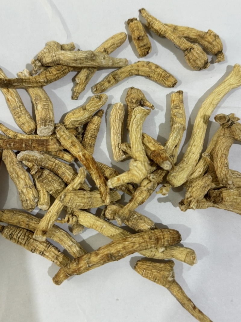 人参个白参人参干货整枝带须人参多种规格长白山人参