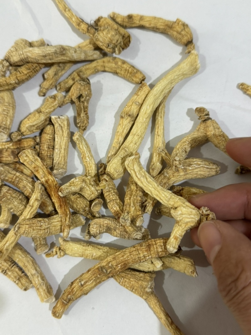 人参个白参人参干货整枝带须人参多种规格长白山人参