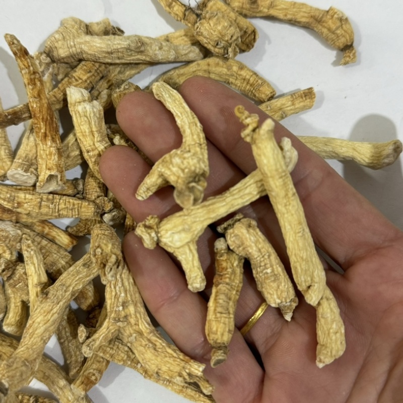 人参个白参人参干货整枝带须人参多种规格长白山人参