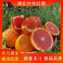 【推荐】湖北中华红橙，甜蜜多汁，供应市场商超电商