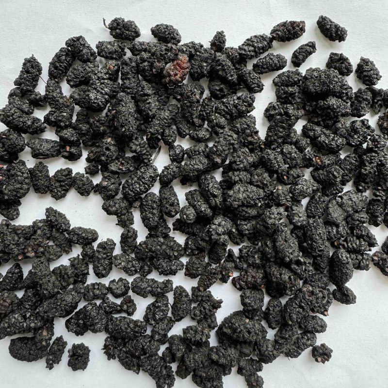 桑葚保庆药业批发桑葚黑桑葚实物拍摄中药材桑葚