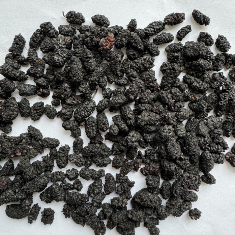 桑葚保庆药业批发桑葚黑桑葚实物拍摄中药材桑葚