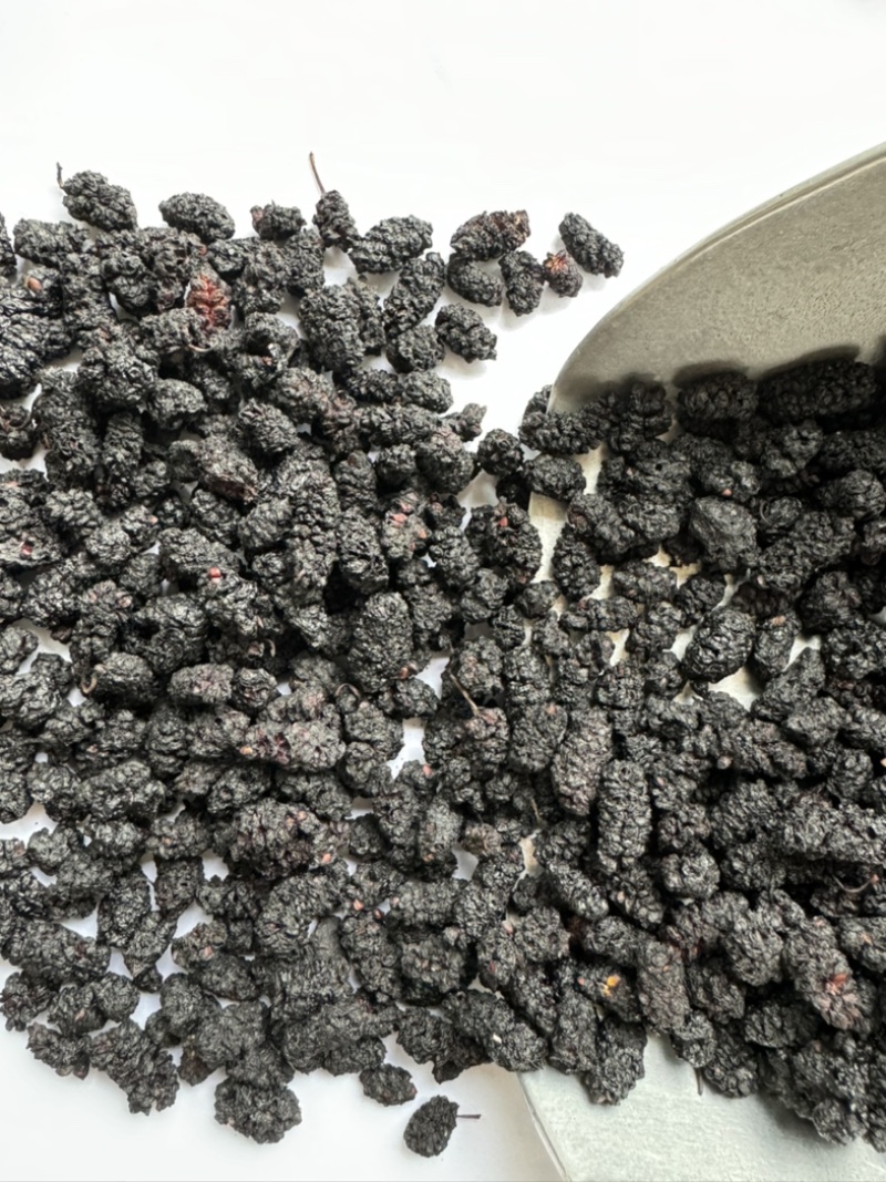 桑葚保庆药业批发桑葚黑桑葚实物拍摄中药材桑葚