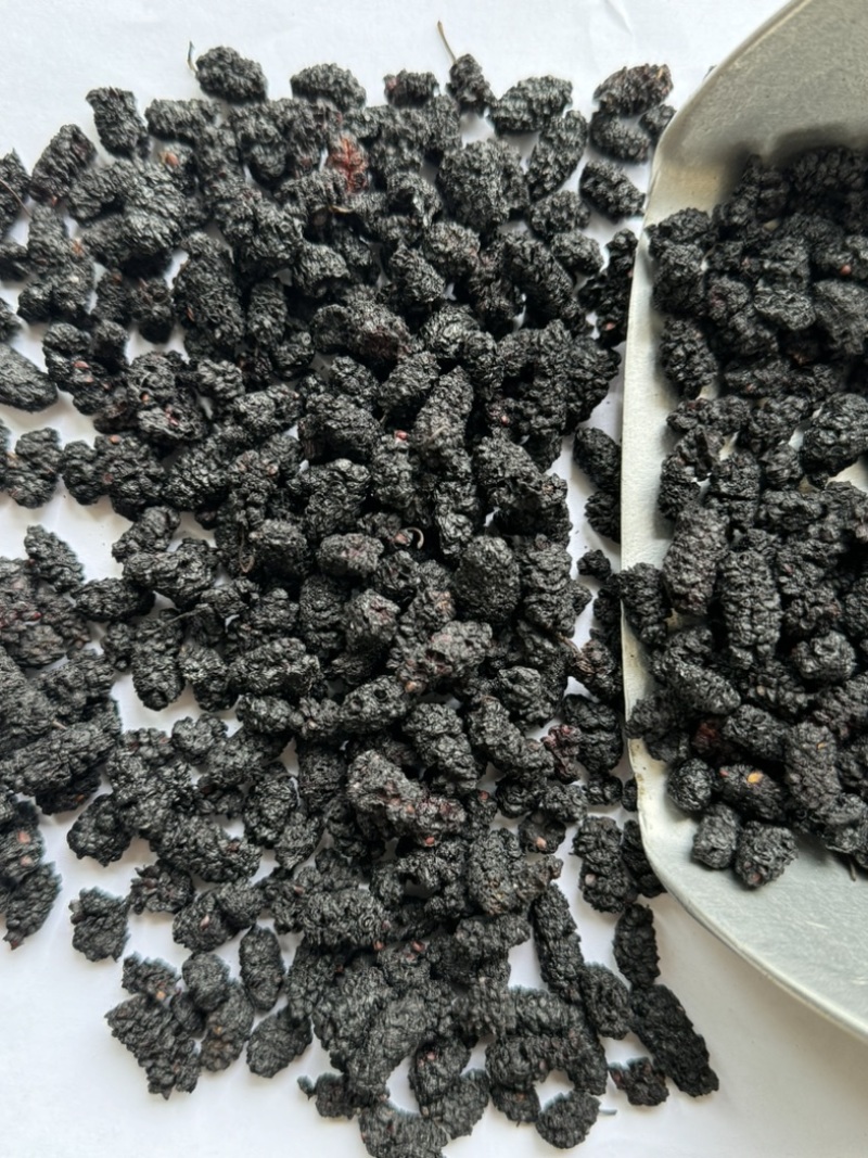 桑葚保庆药业批发桑葚黑桑葚实物拍摄中药材桑葚