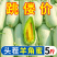 羊角蜜对接各大电商社区团购平台一件代发