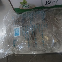 粉皮