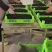 【精品】德昌新鲜桑葚支持代办市场供应商超对接一手货源产地